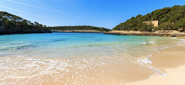 Palma